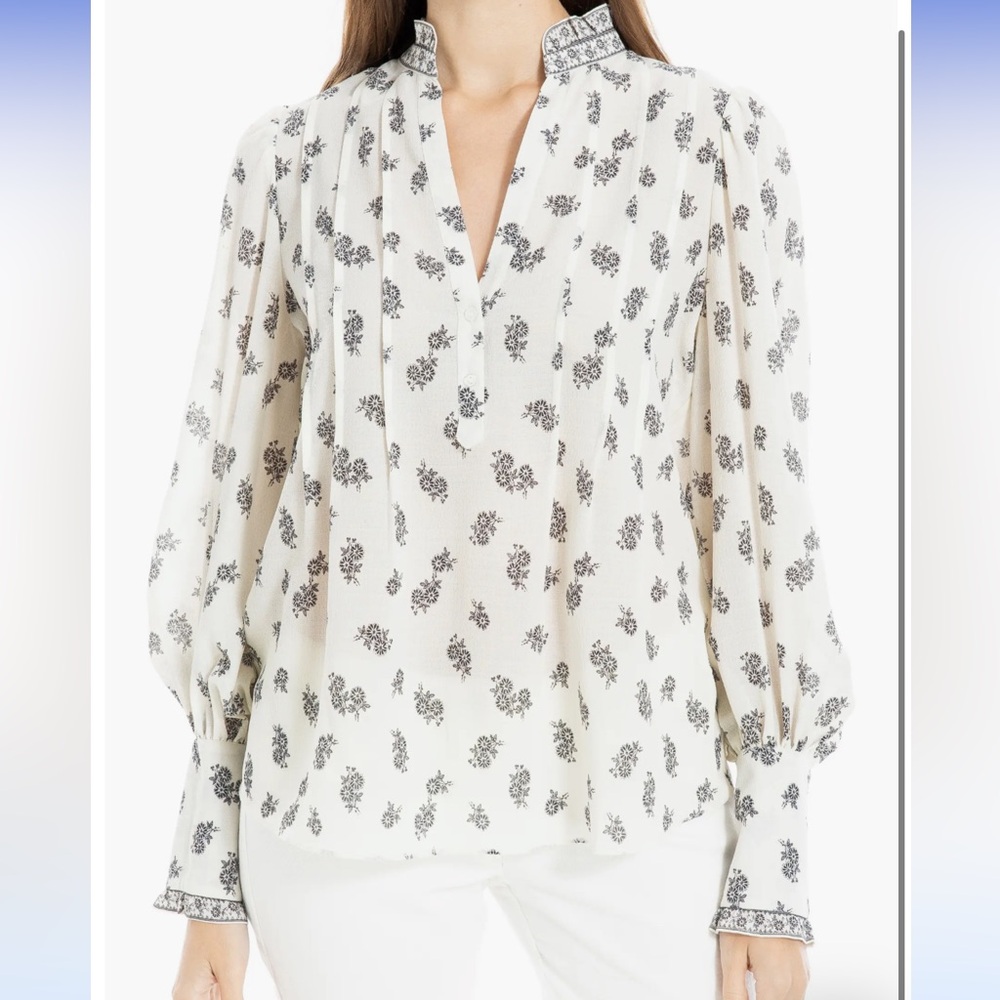 Max Studio long sleeve ruffle blouse